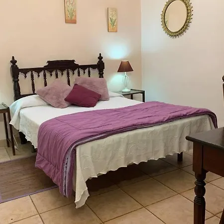 Casa Barreto. Paraiso En Puerto De La Cruz. Feriehus