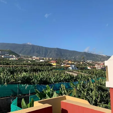 Casa Barreto. Paraiso En Puerto De La Cruz. Feriehus *